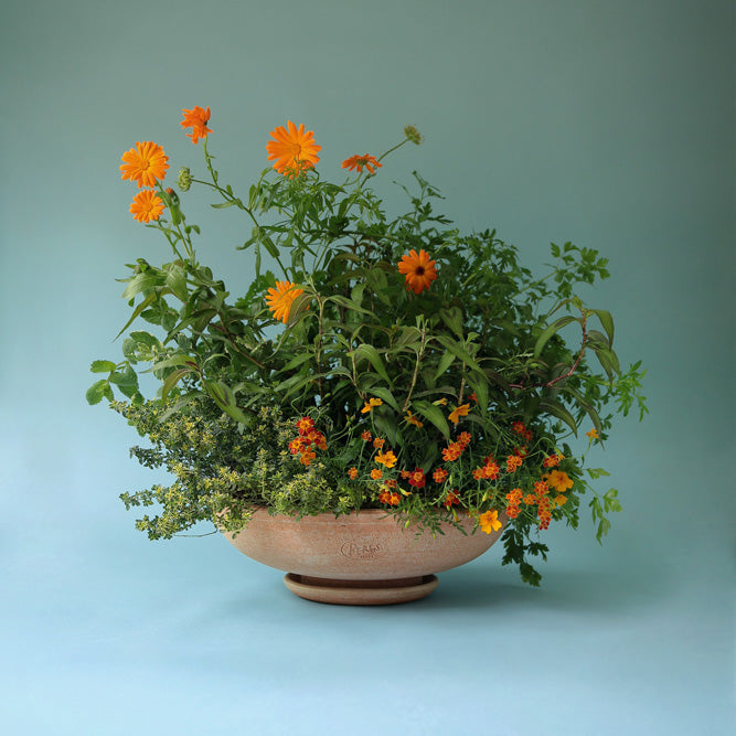 Ada Bowl Ø40