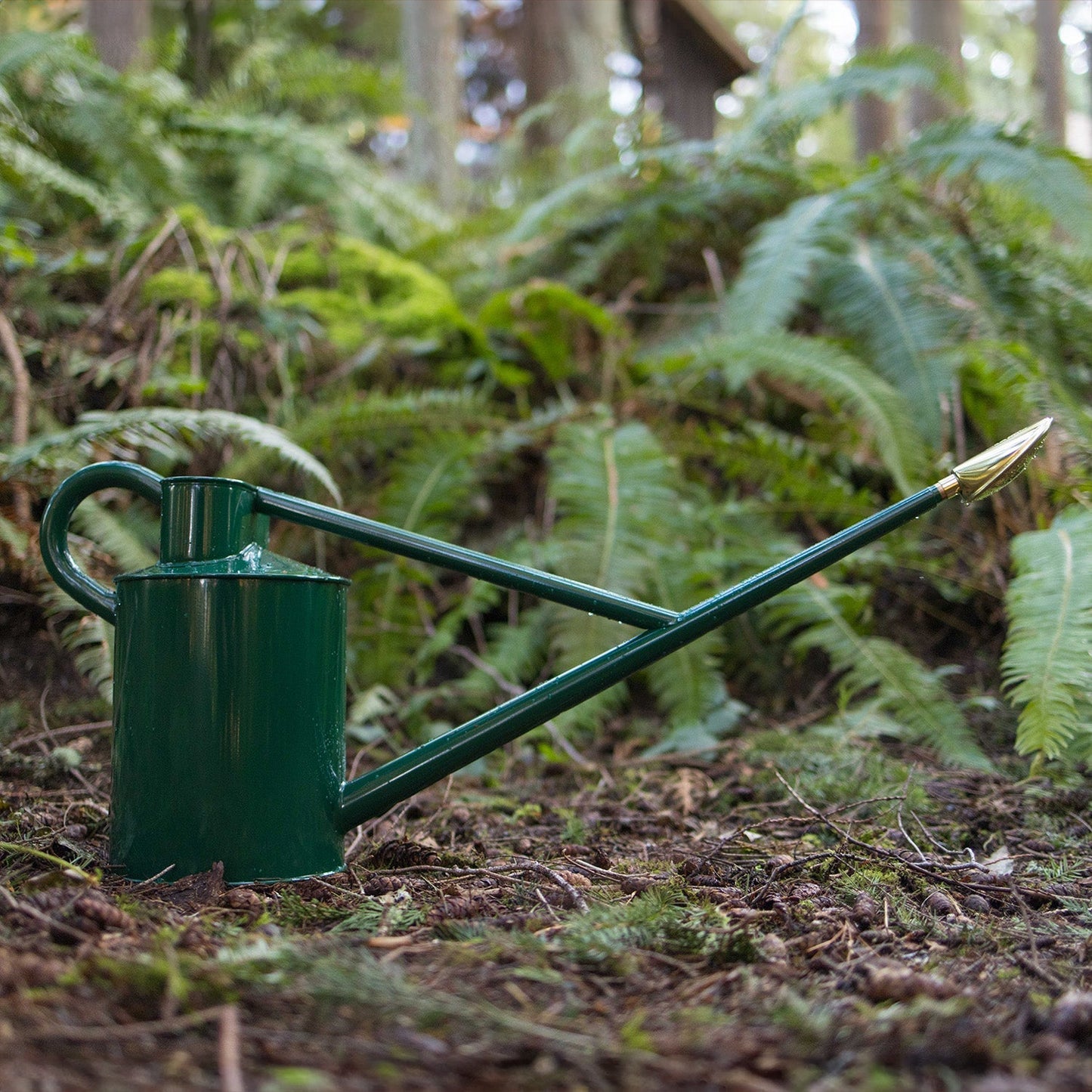 The Warley Fall (Two Gallon)