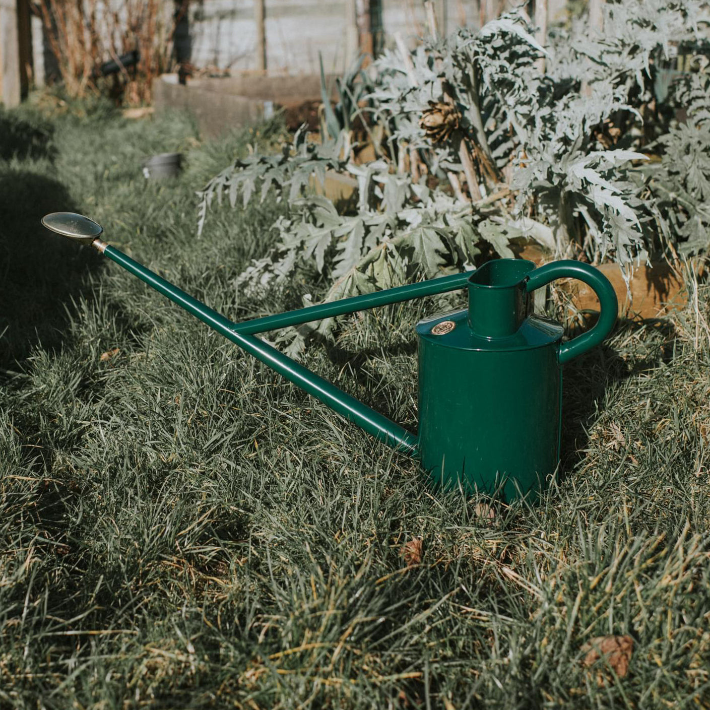 The Warley Fall (Two Gallon)