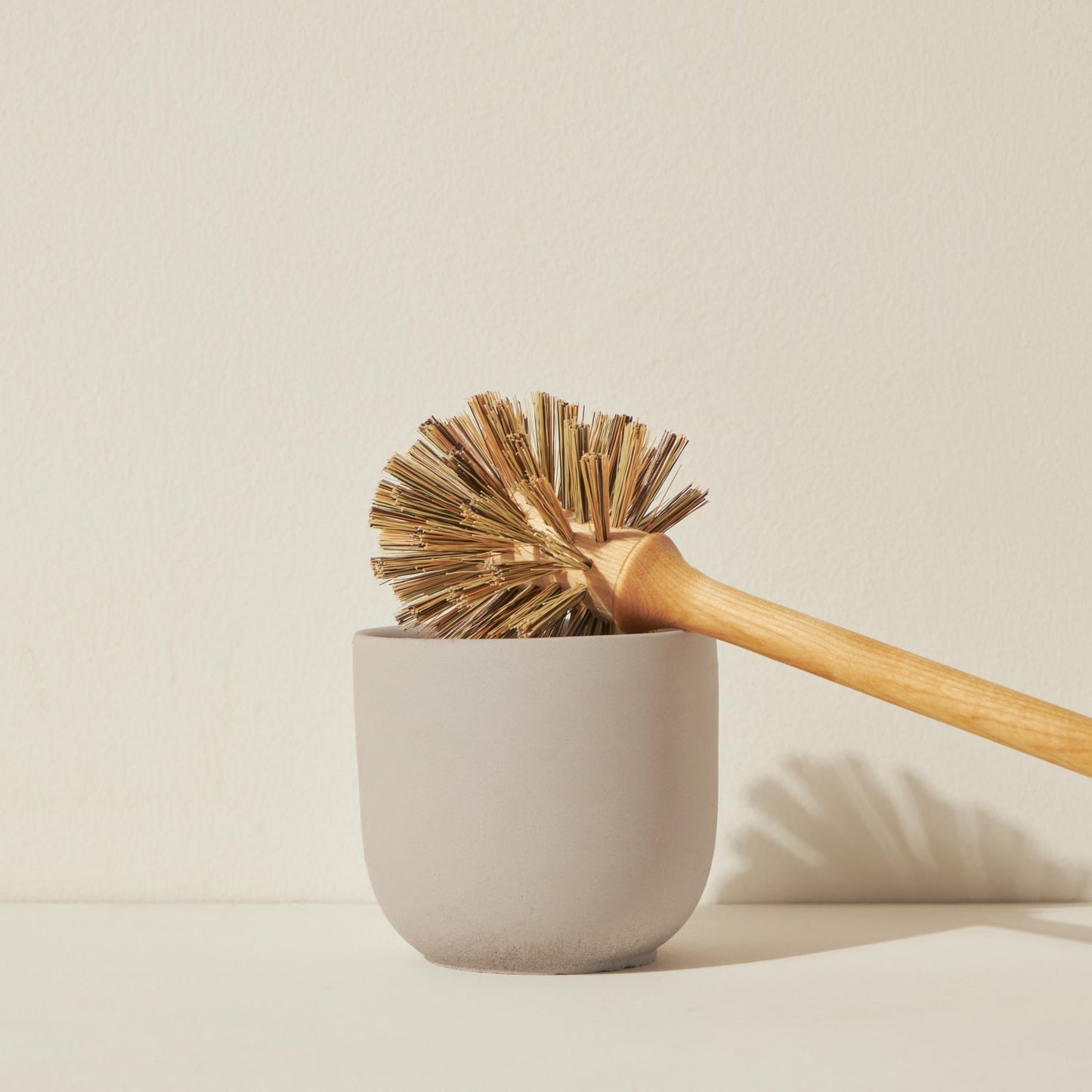 Toilet Brush