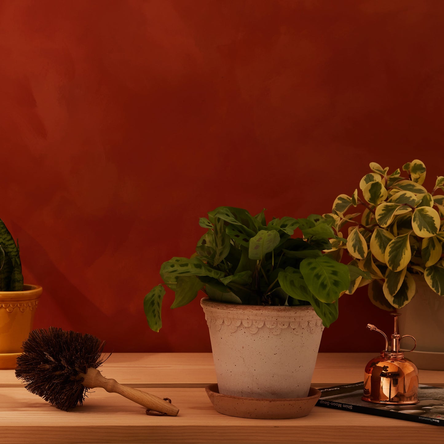 Flowerpot Brush