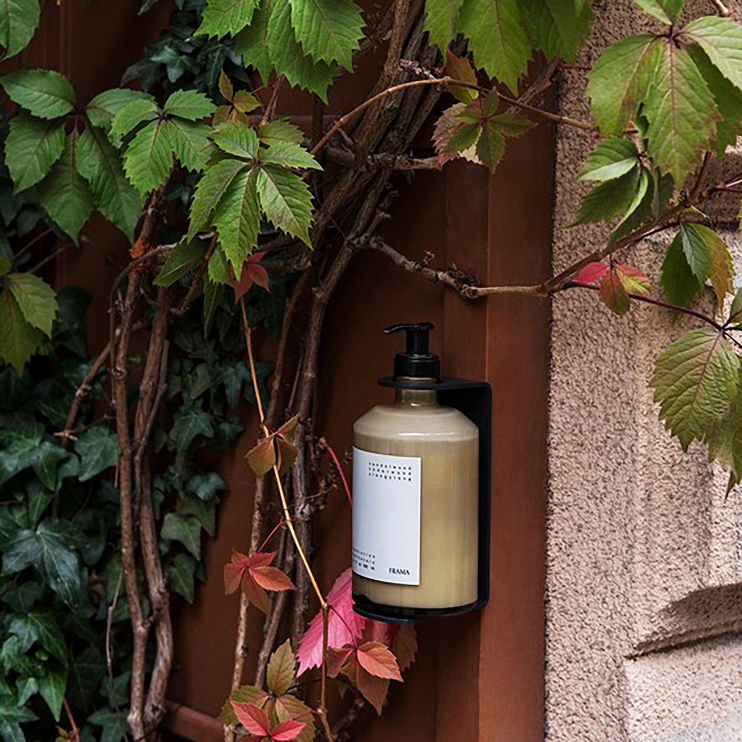 Apothecary Wall Display