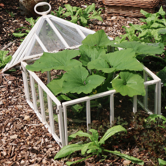 Victorian Square Cloche