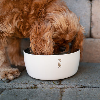 Stainless Steel Dog Bowl