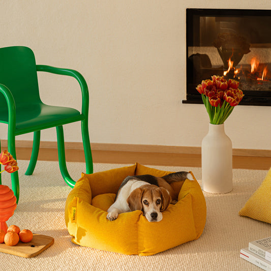 Luoto Dog Bed - Signature