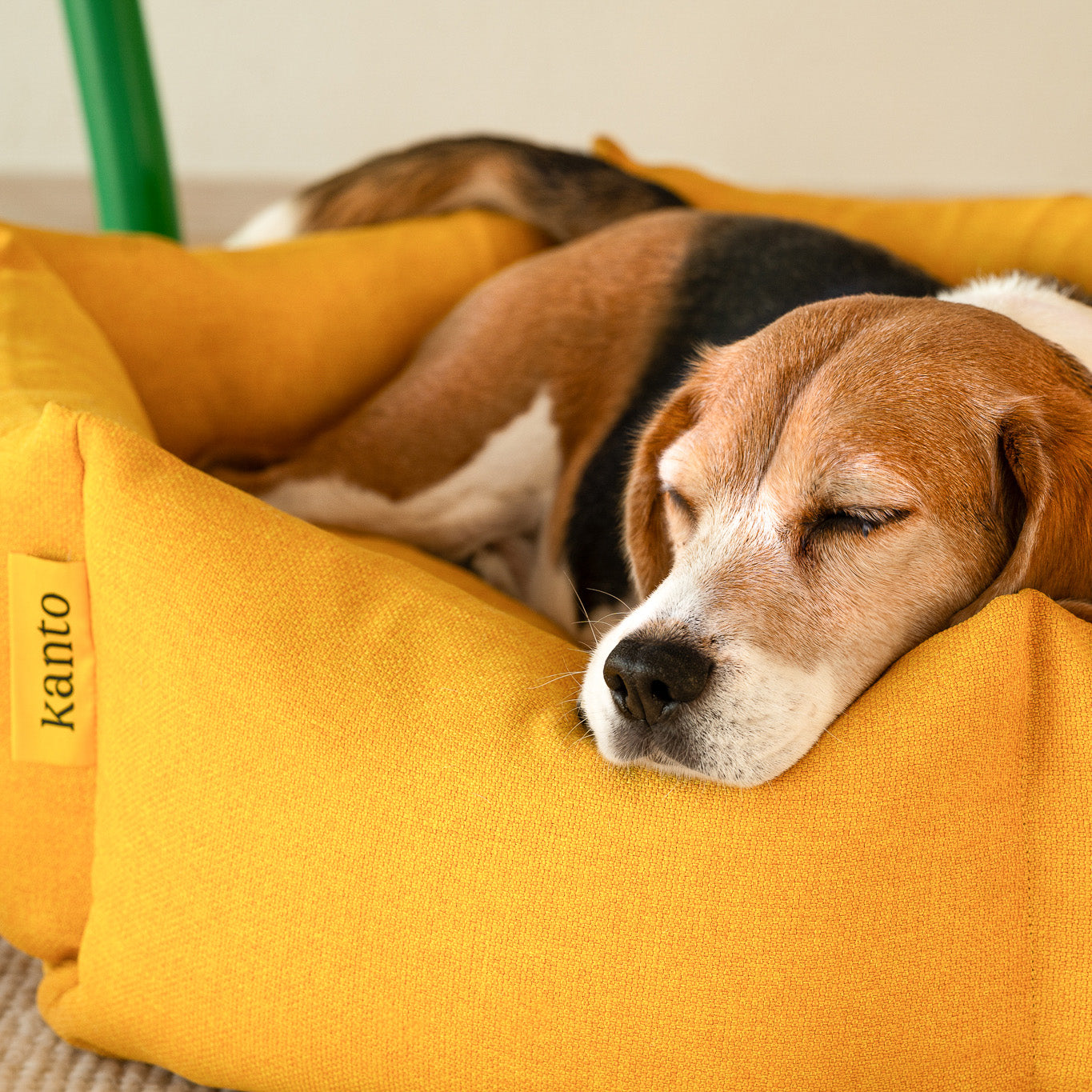 Luoto Dog Bed - Signature